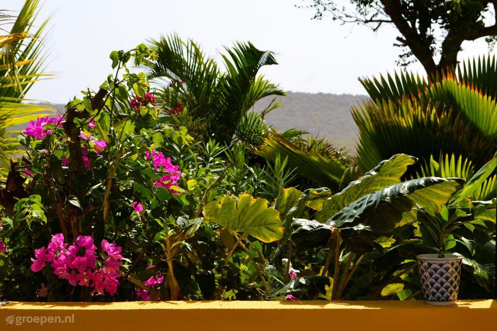 Holiday home Curaçao