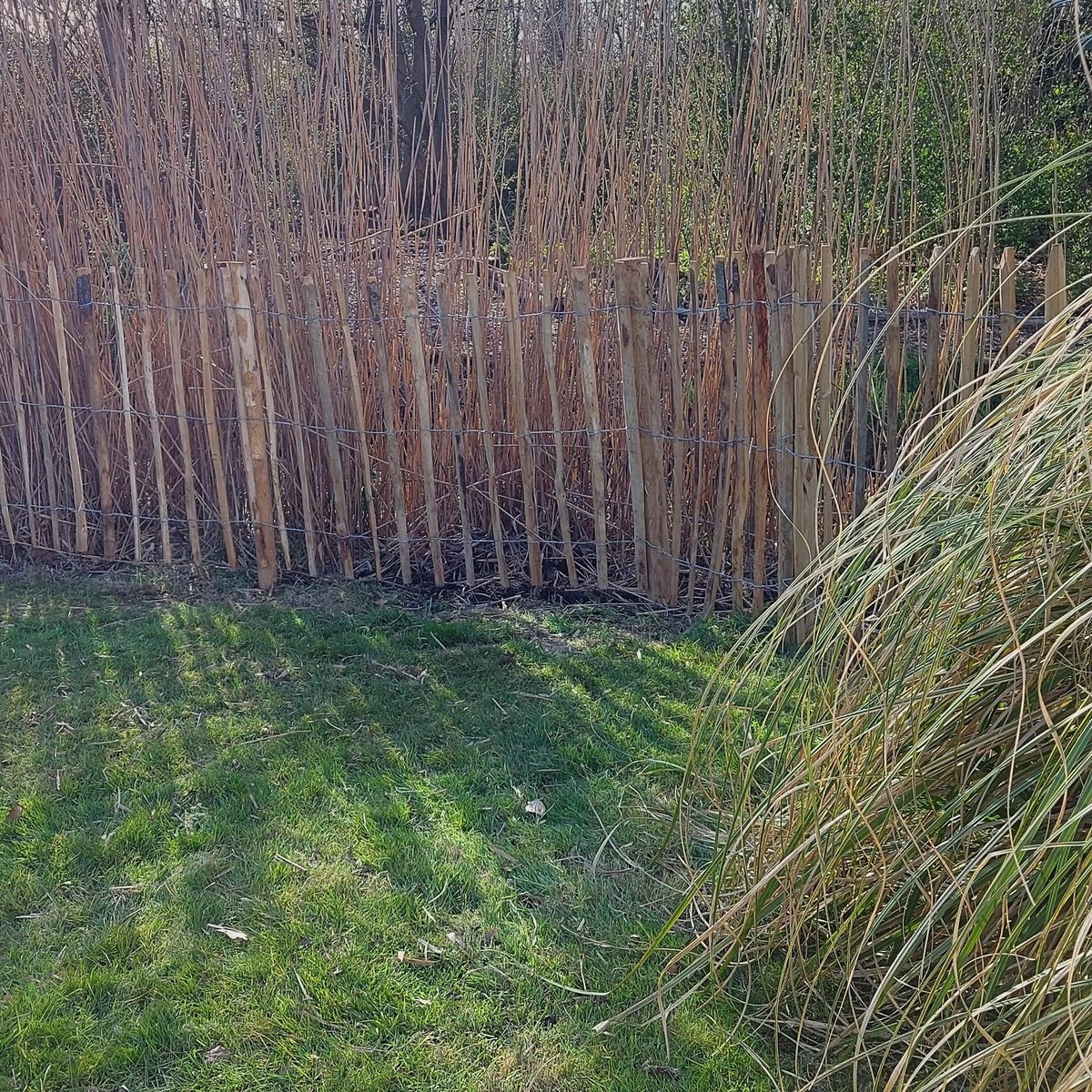 Wildrijk 022