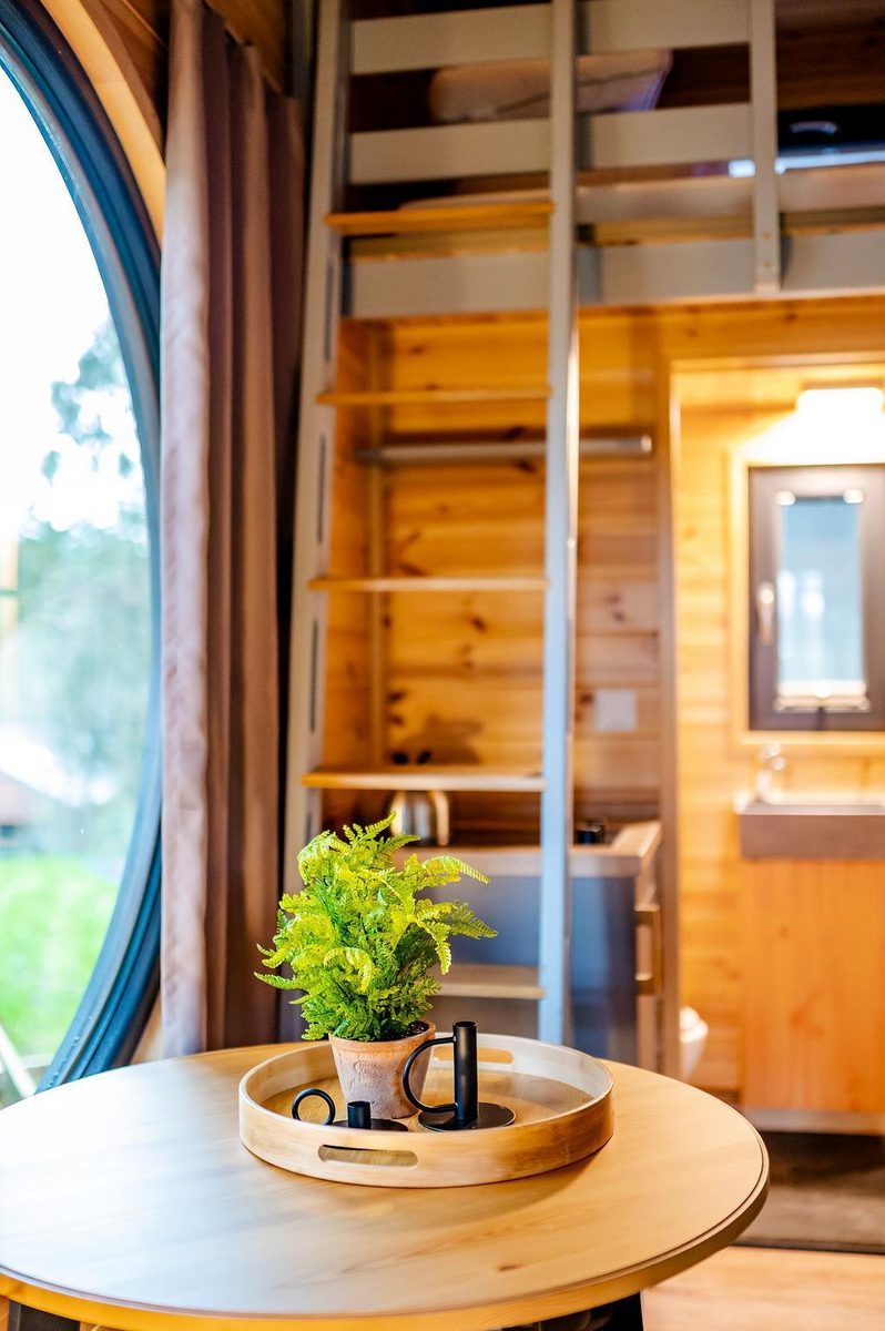 Laidback Cabin Refuge