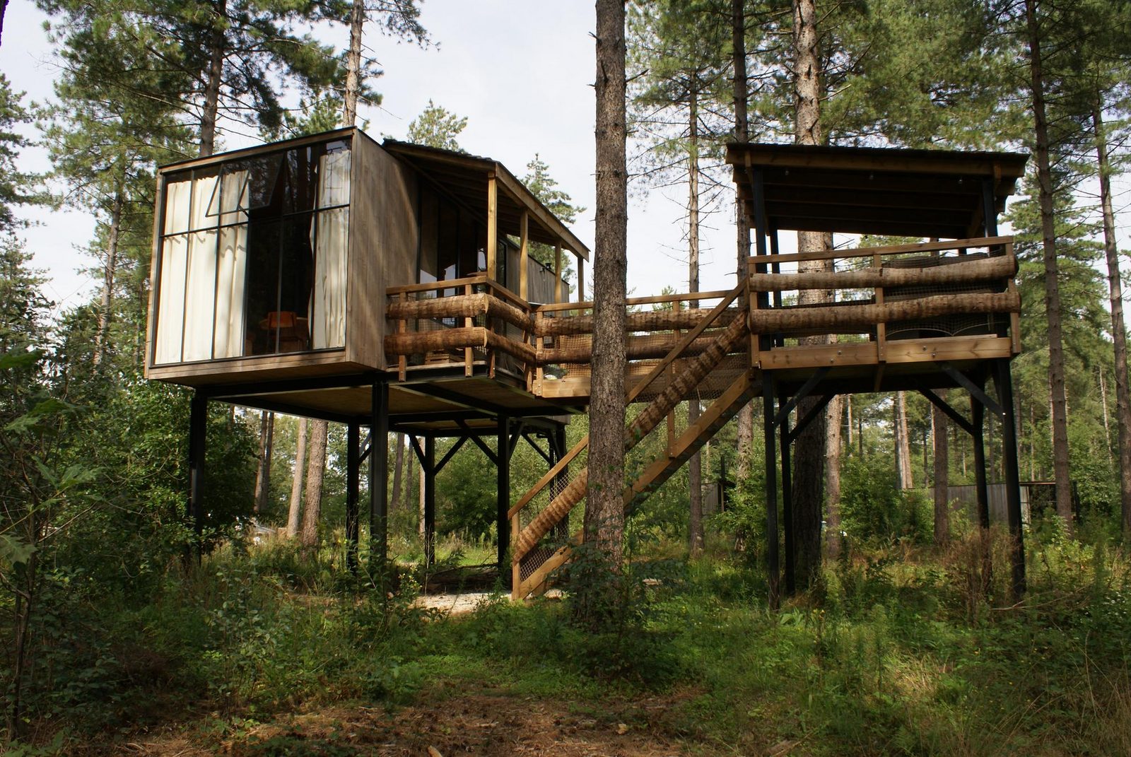 Treetop with hot tub