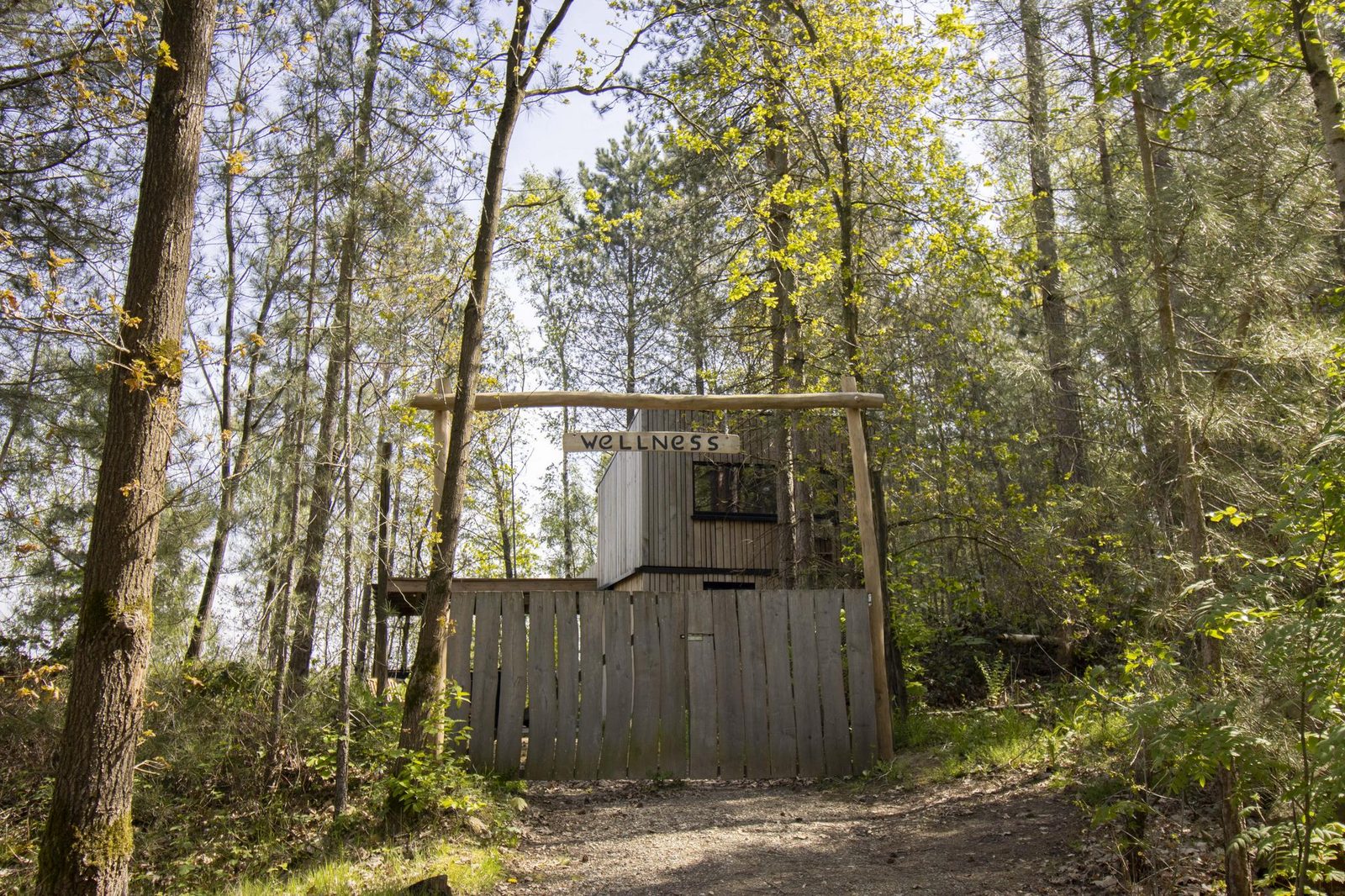 Treetrunk avec hottub