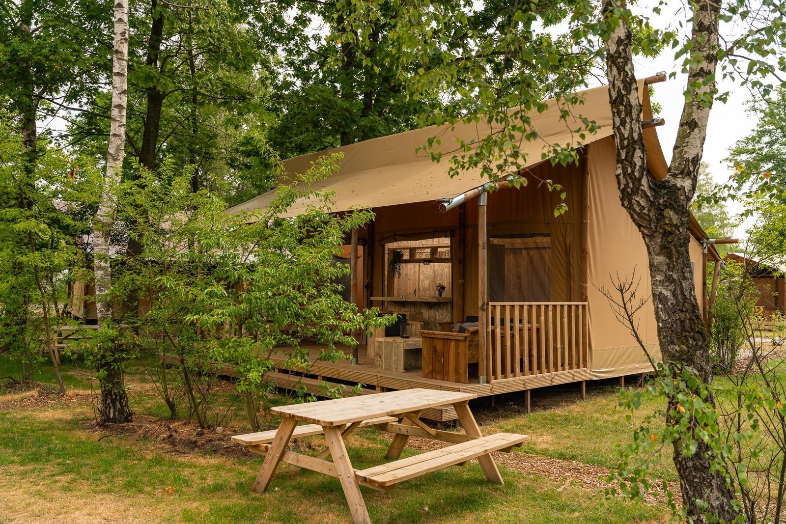 Safari-Zelt mit privaten Sanitäranlagen | 5 Personen
