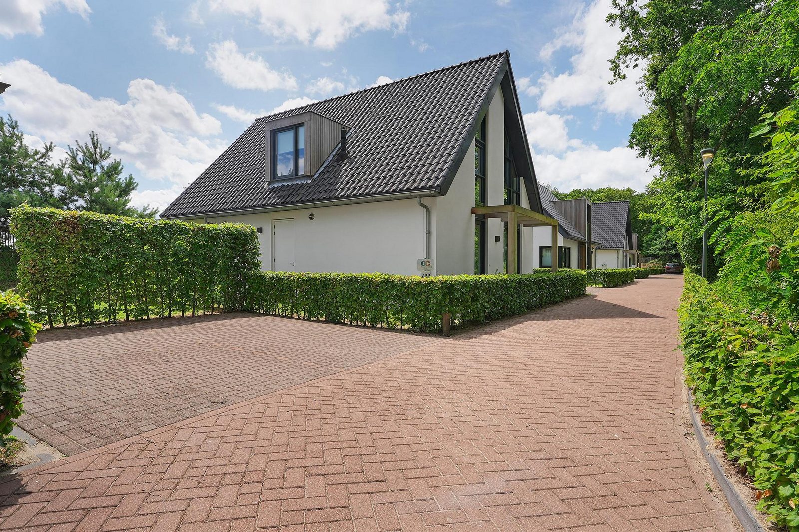 Luxe Villa on Villapark Duinzicht (house 702) - Ouddorp