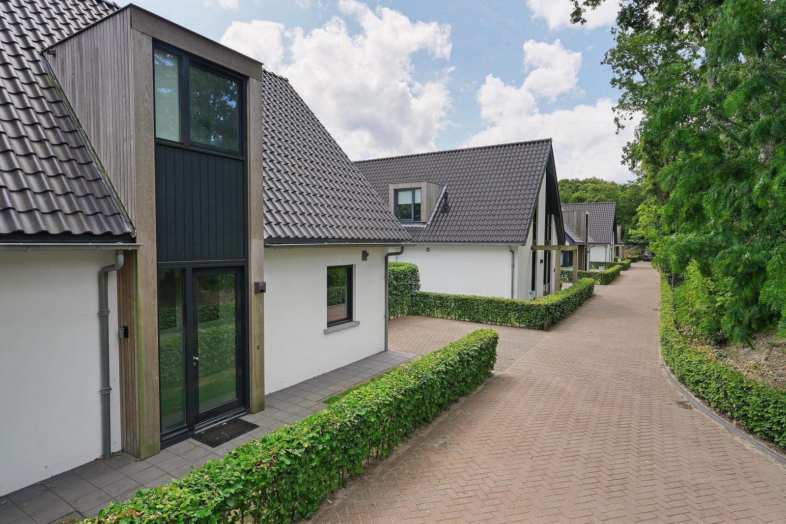 Luxe Villa on Villapark Duinzicht (house 702) - Ouddorp