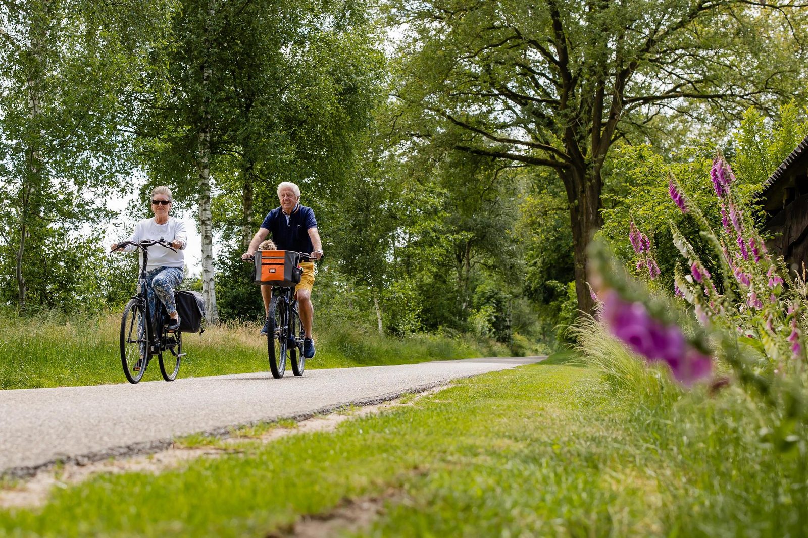 Comfort kampeerplaats 150m2 (autovrij)