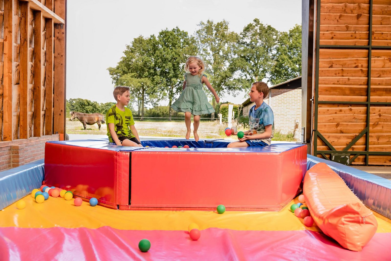 Comfort kampeerplaats 250m2 (auto op plaats)