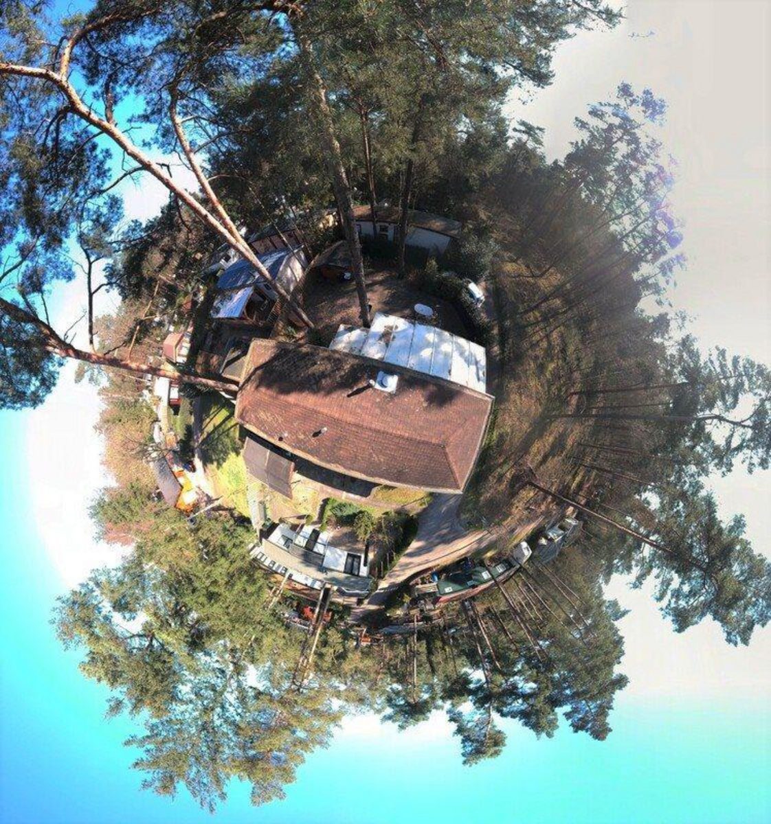 Chalet Bospark Dennenrhode