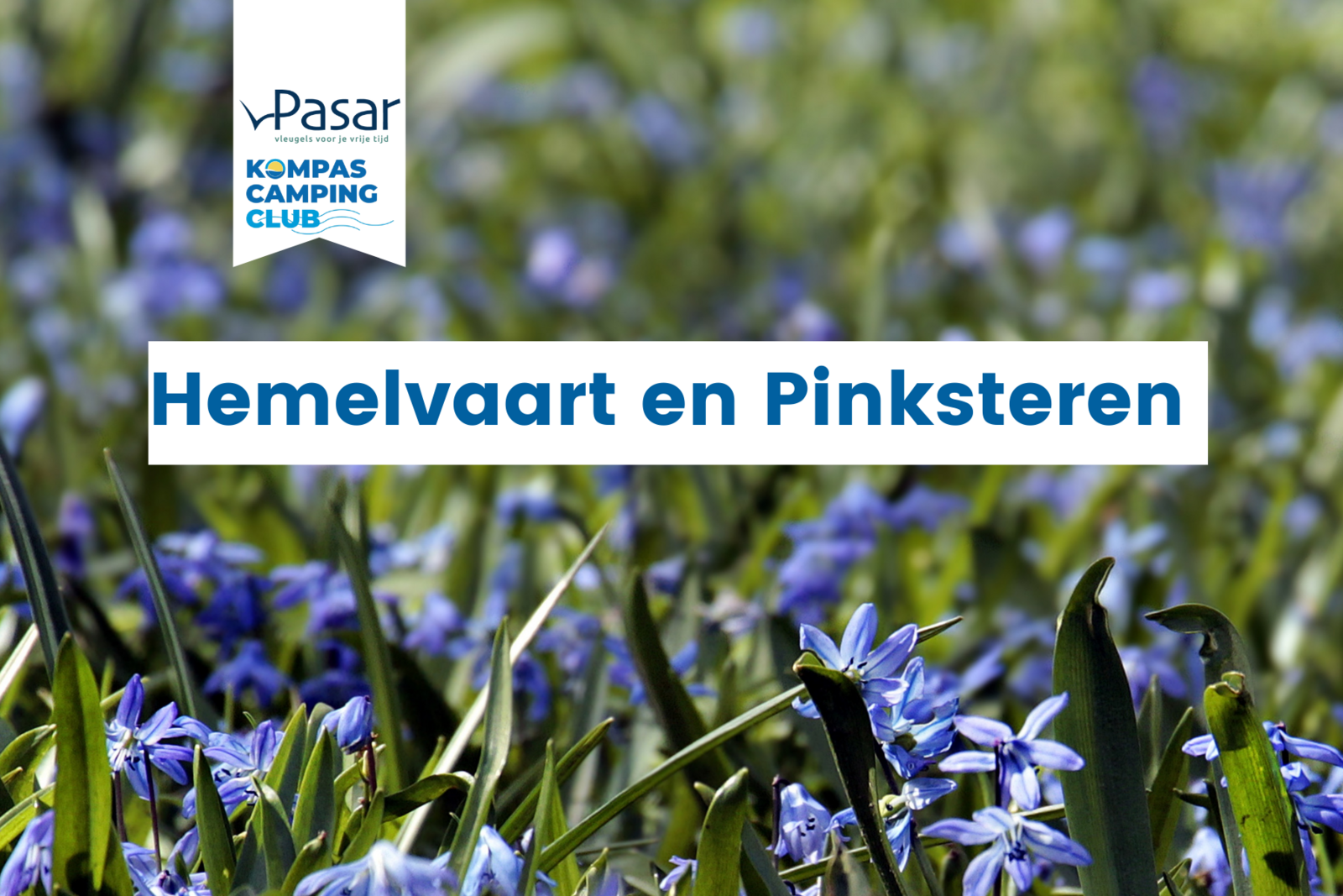 Lentearrangement kamperen Hemelvaart en Pinksteren 2024 - Pasar & Kompas Camping Club