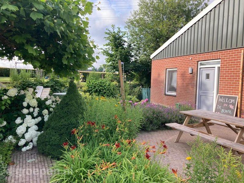 gouden gesloten Dekking Holidayhome in Holidayhome Voerendaal (Limburg) for 8 persons