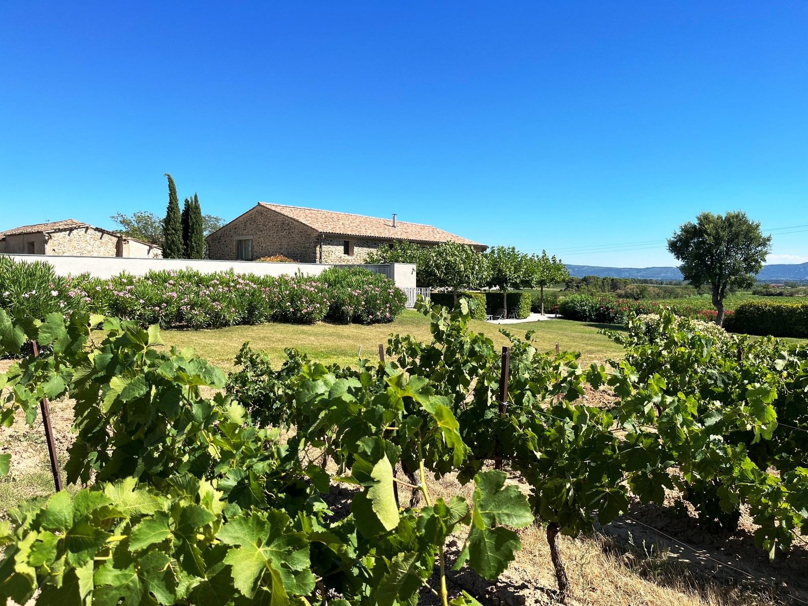 Domaine la Vigne - luxe gîtes in de wijnregio Minervois