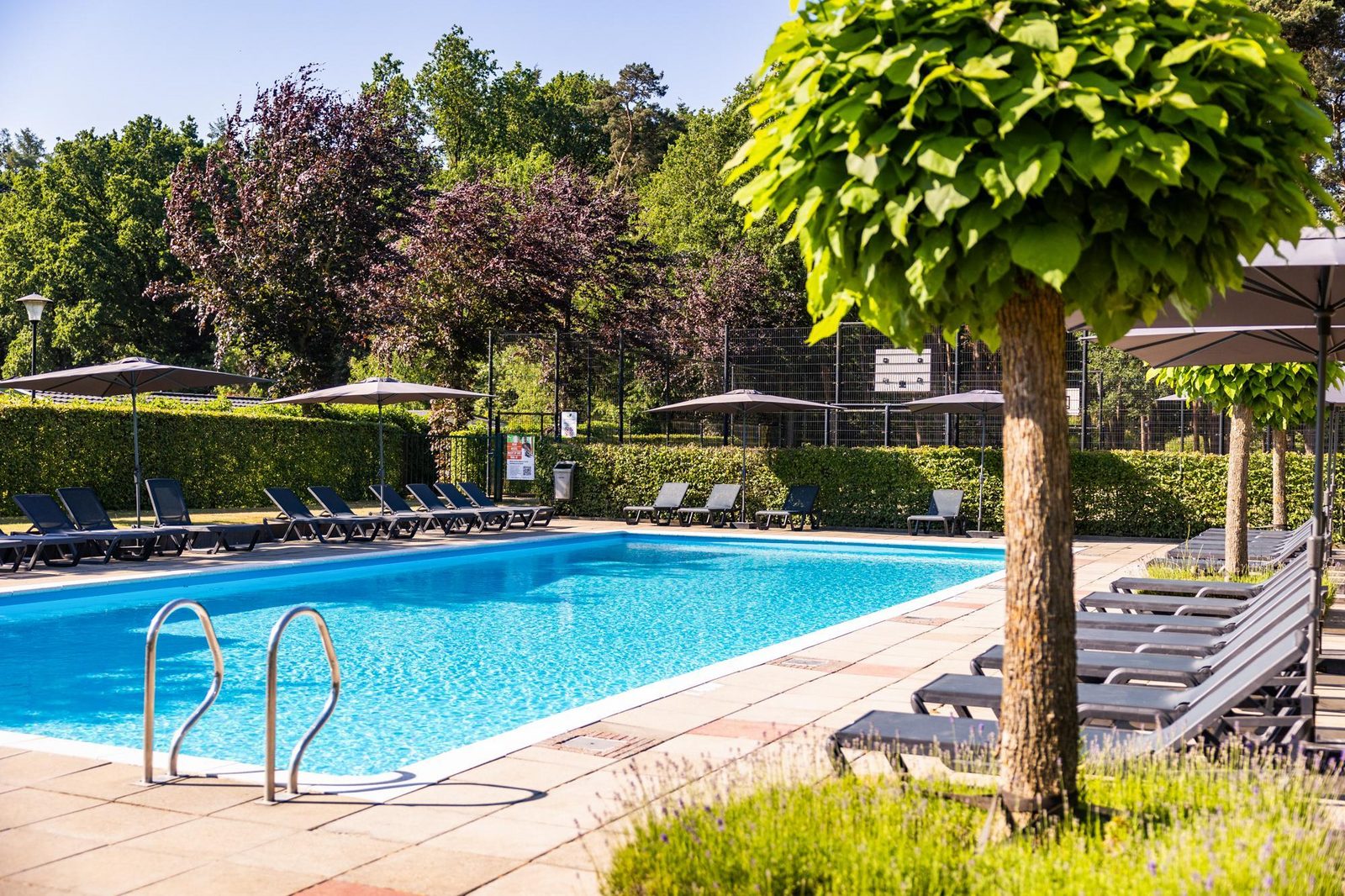 Bosrandvilla comfort | 6 personen 