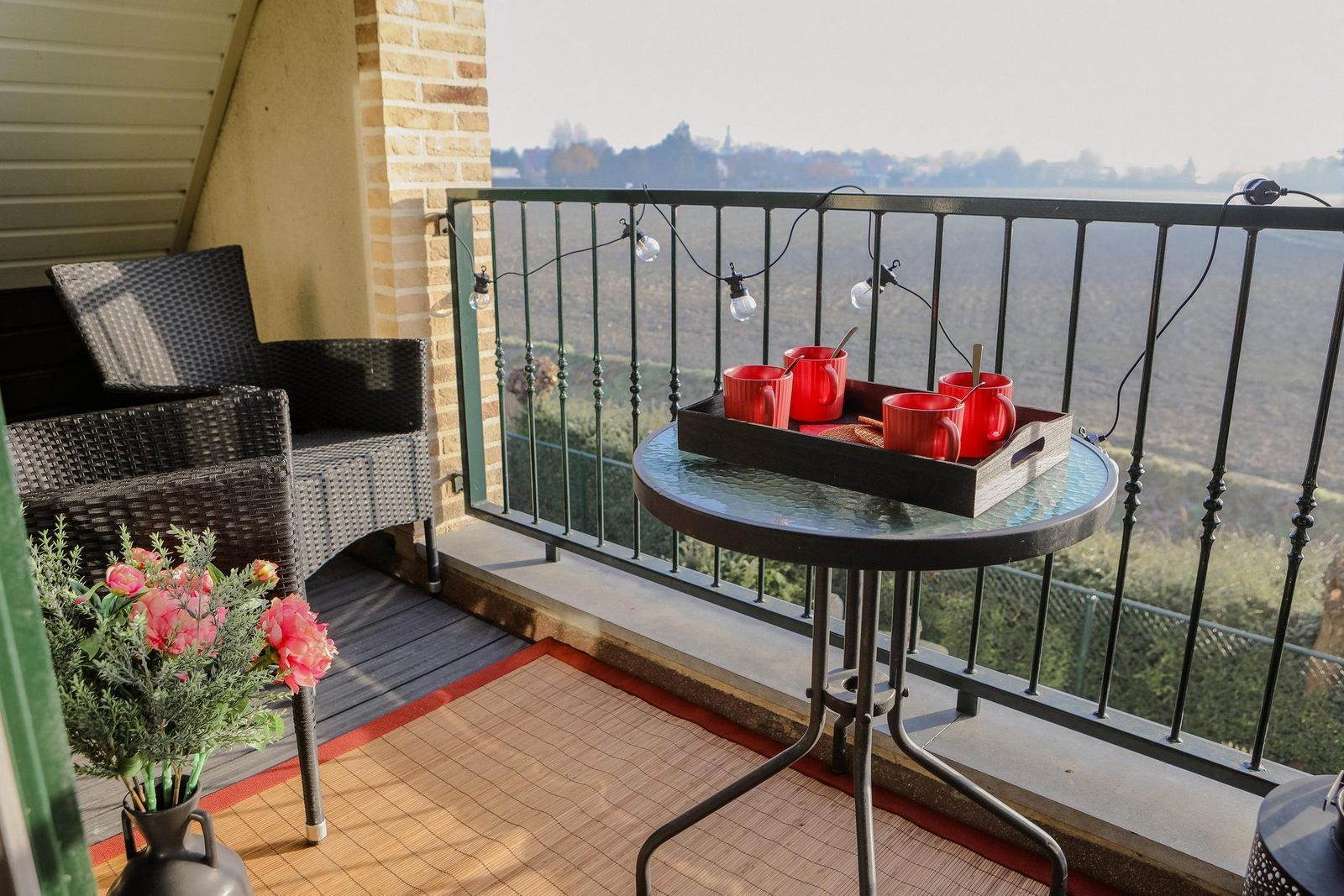 VZ2344 Holiday apartment in Wolphaartsdijk