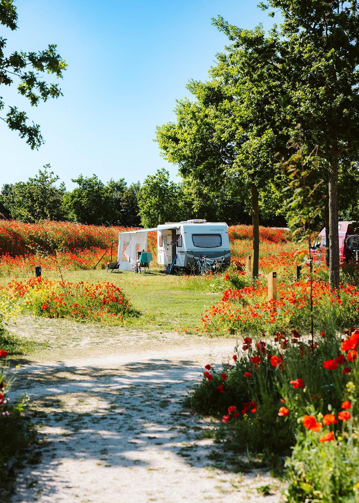 Pures Camping im Ferienpark De Klepperstee