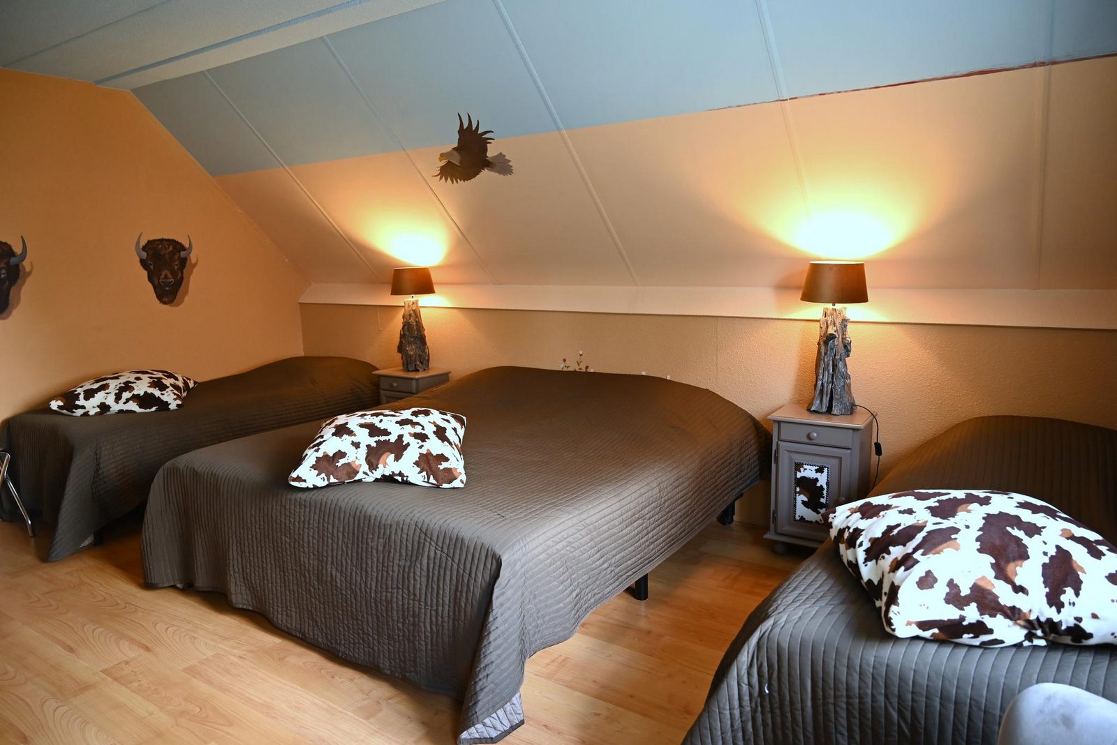 5-persoons themakamer 'Wild West' 