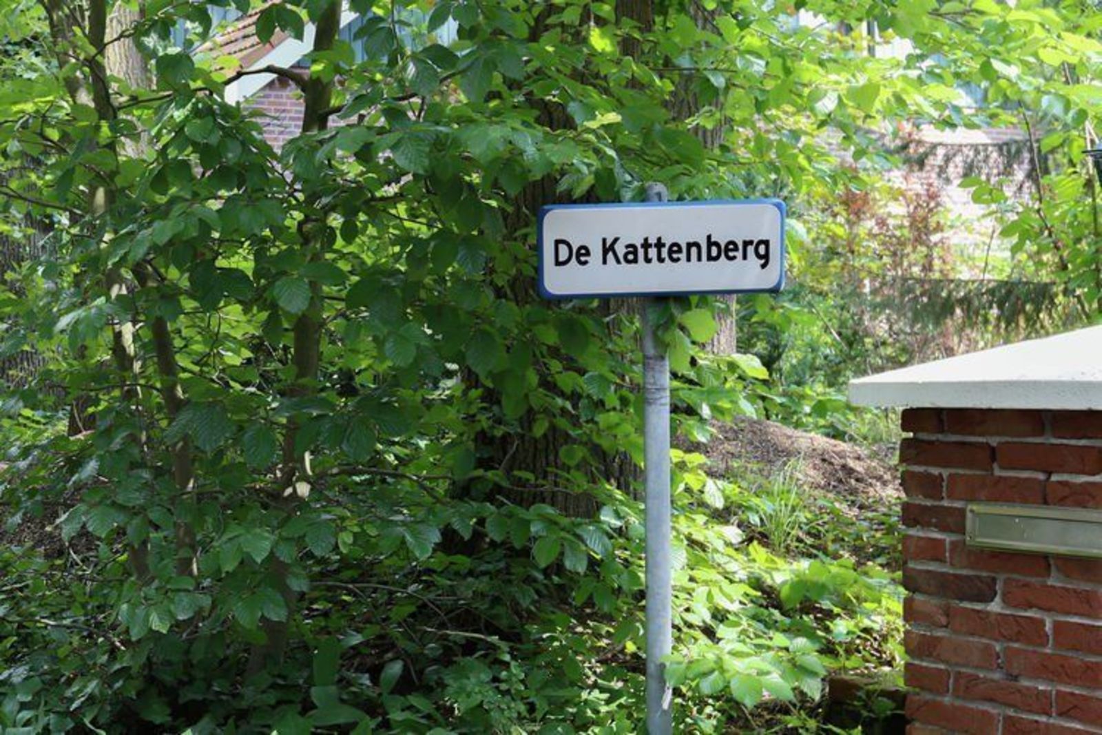 De Kattenberg 8 persoons