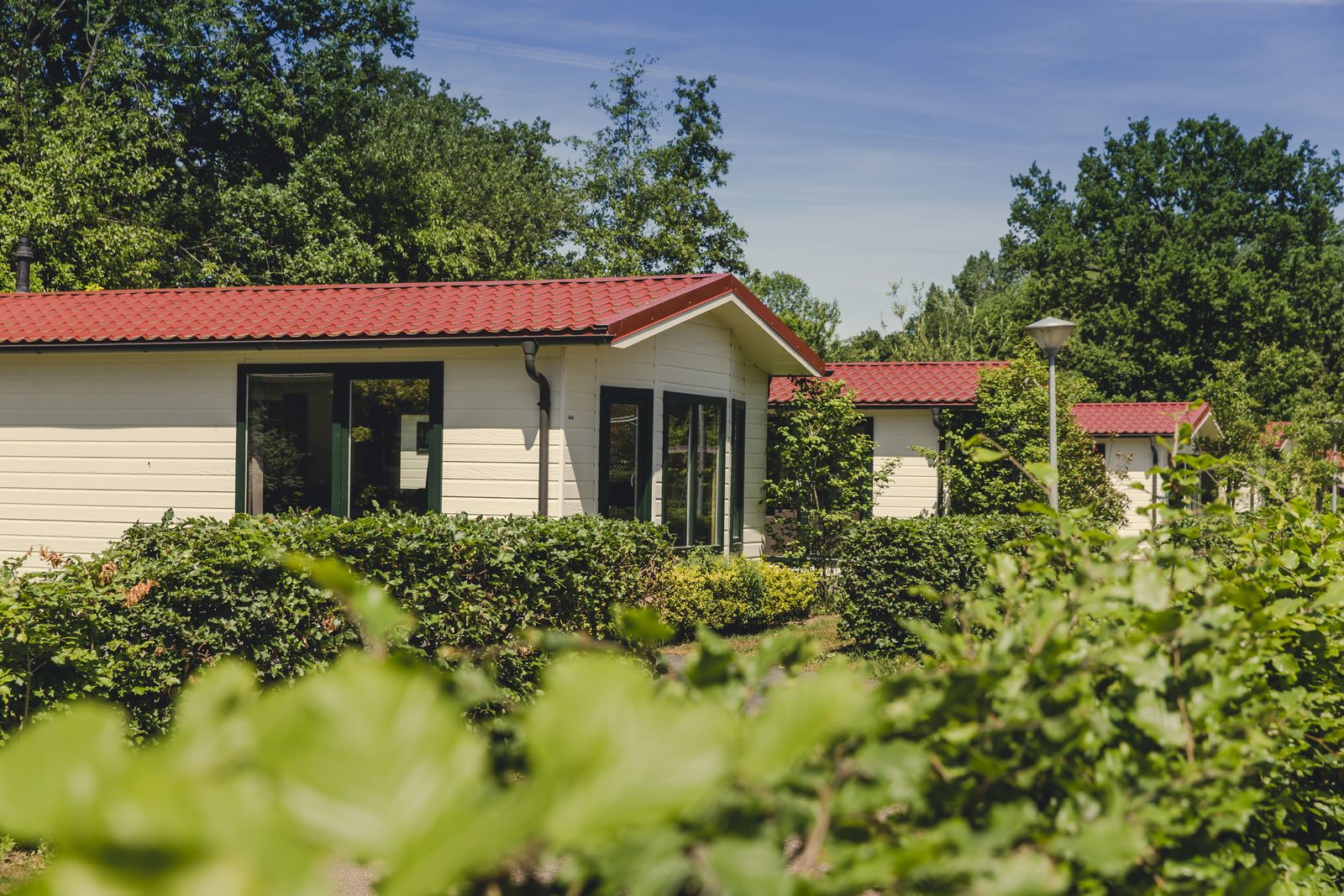 Bungalette sauna I 6 people afbeelding