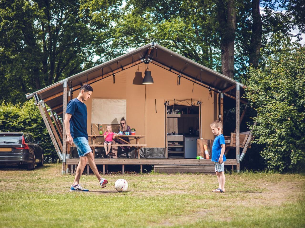 Genießen Sie Luxus und Komfort in unseren geräumigen Safarizelten im Herzen der schönen Veluwe.