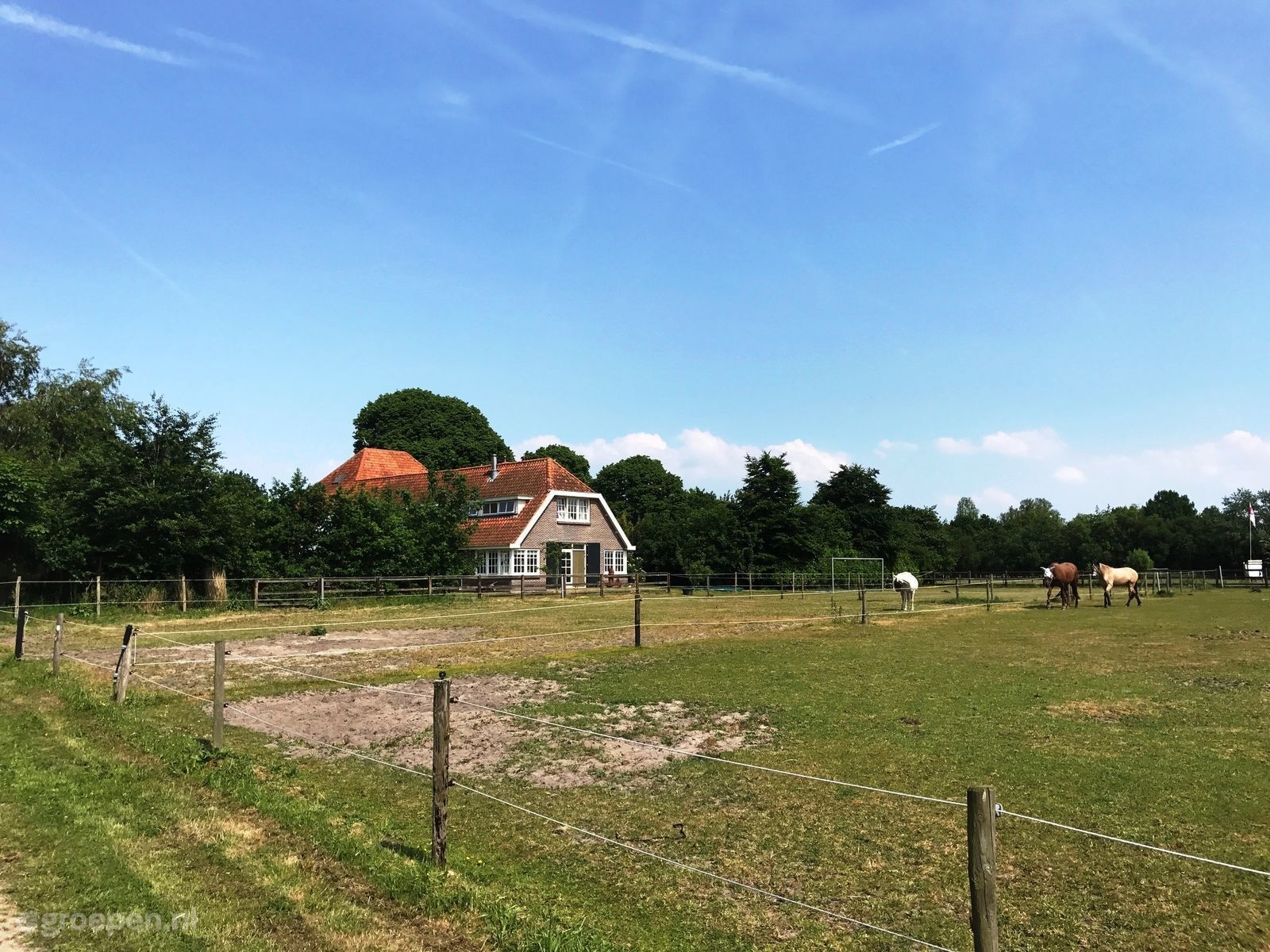 Vakantieboerderij Schoorl in Schoorl - Noord-Holland, Nederland foto 8416229