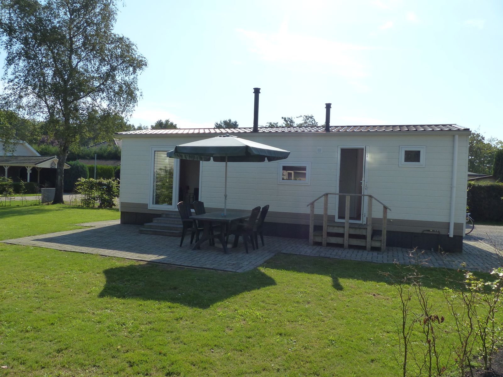 Goudvink 598 afbeelding