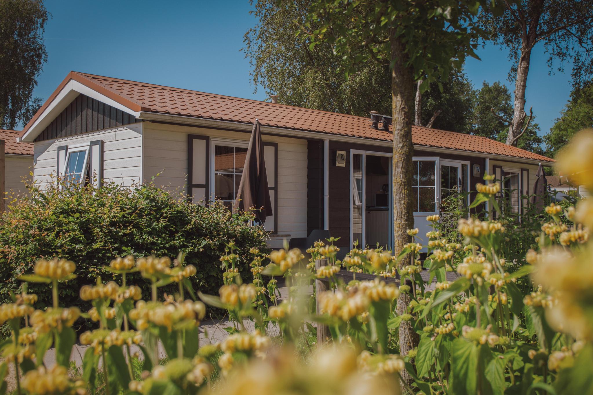 Erleben Sie ein Hotelchalet für 2 in der Veluwe mit luxuriösen Betten, Küche und Badezimmer. Autofreier Park mit kostenlosem WLAN und optionalem Frühstück.