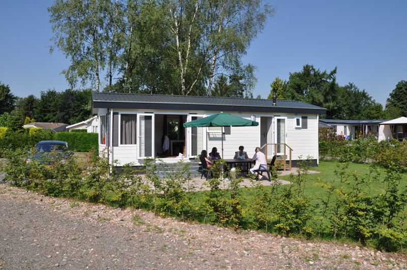 goudvink-602