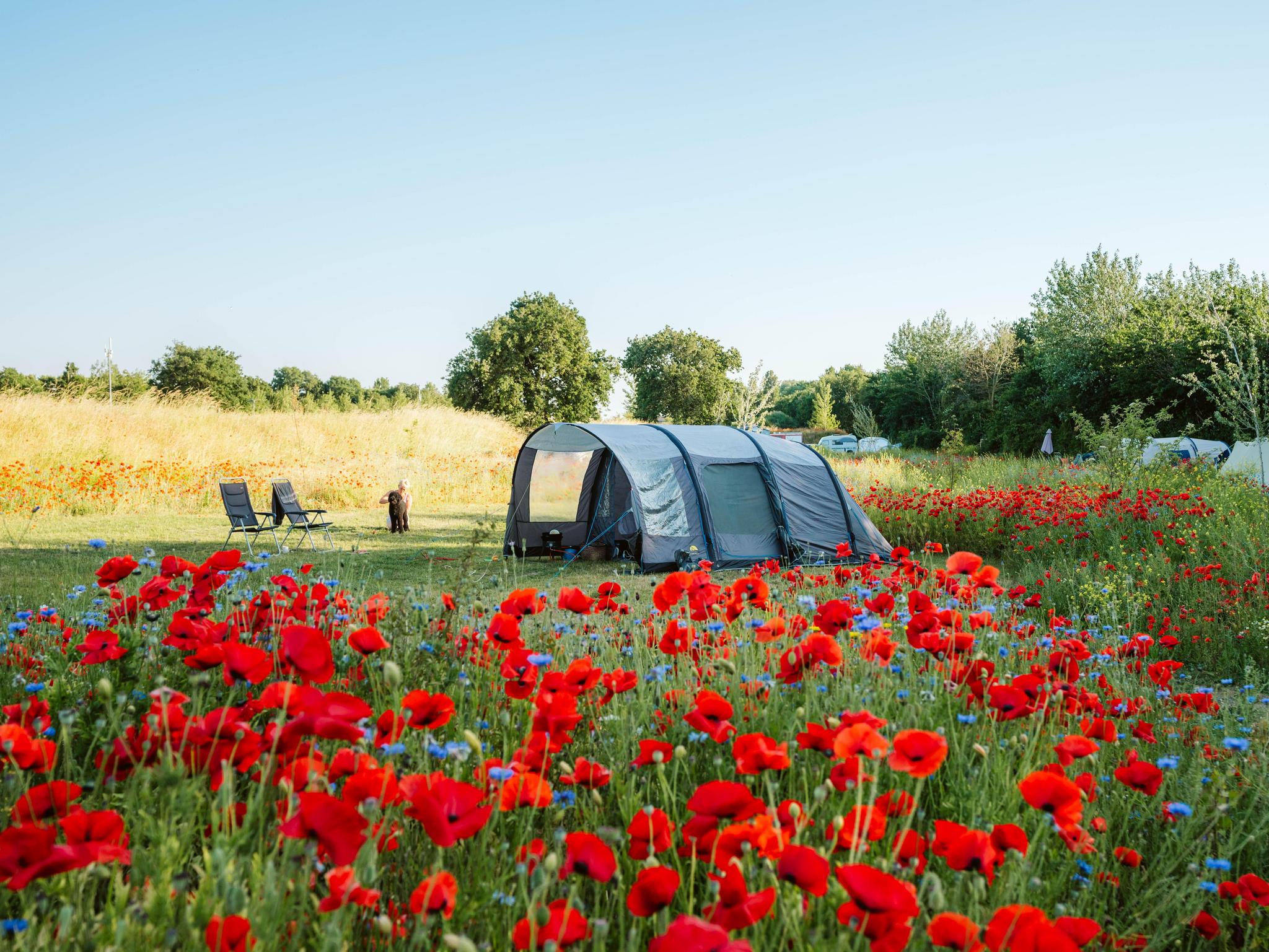 Pures Camping im Ferienpark De Klepperstee