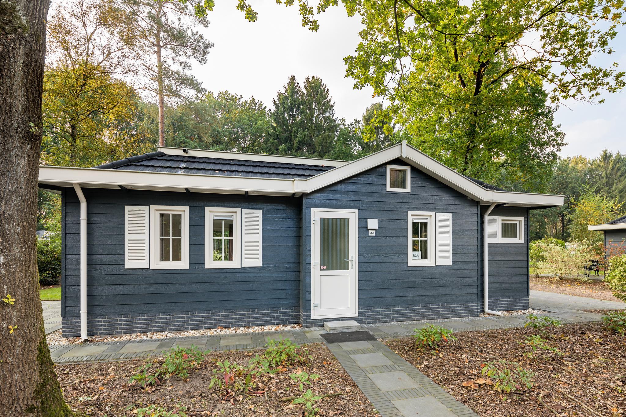 Ruim chalet met veel licht, ideaal in Drentse natuur.