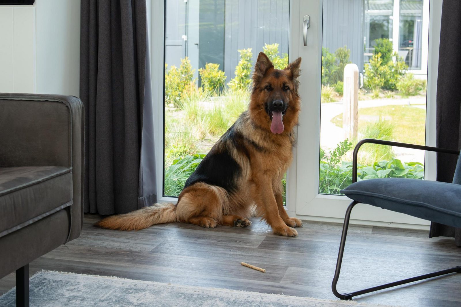 Premium Lodge I 6 personen (60m²) - Honden toegelaten
