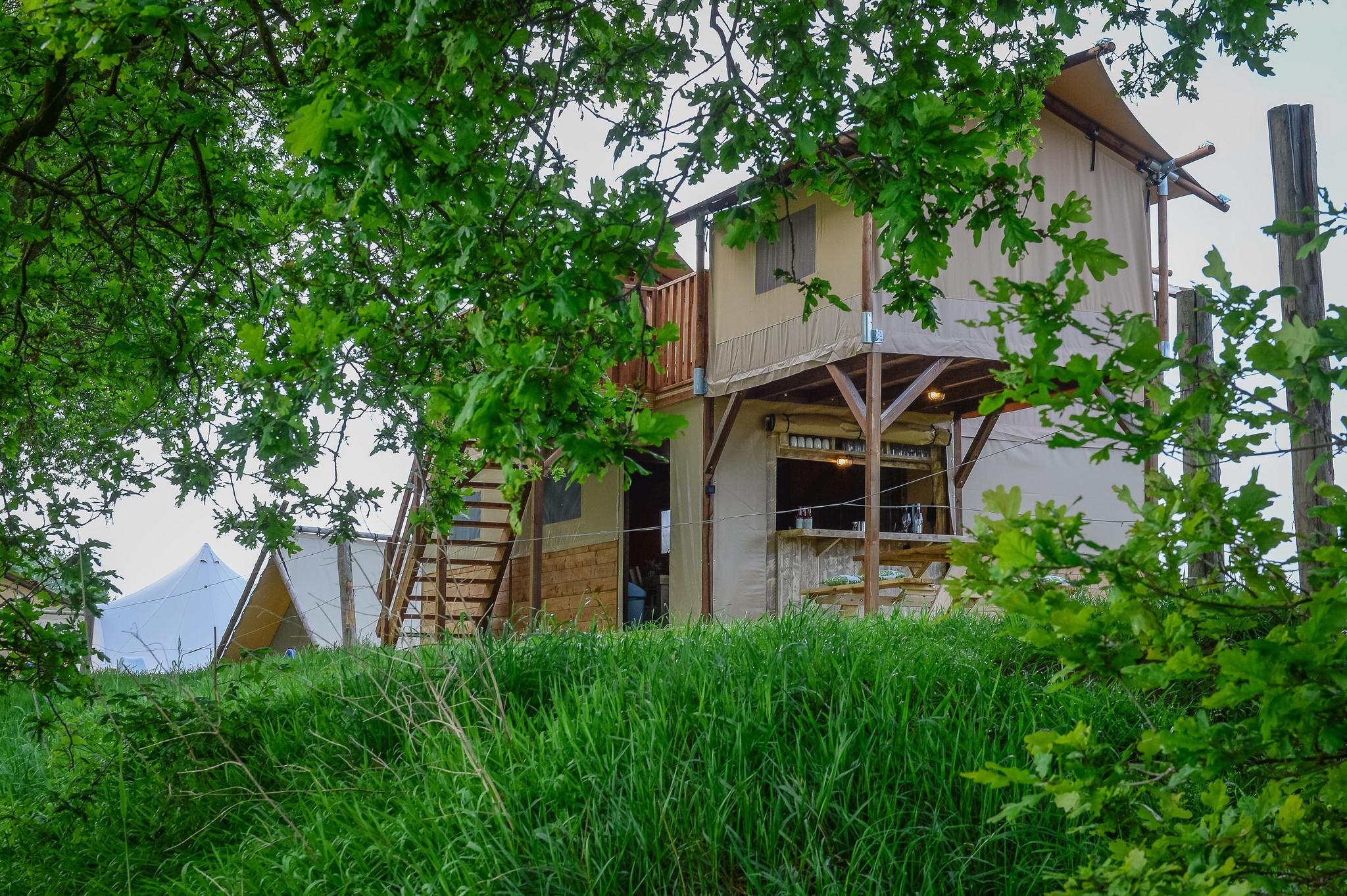 Treehouse tent at the Regge with private sanitary facilities | 6 people afbeelding
