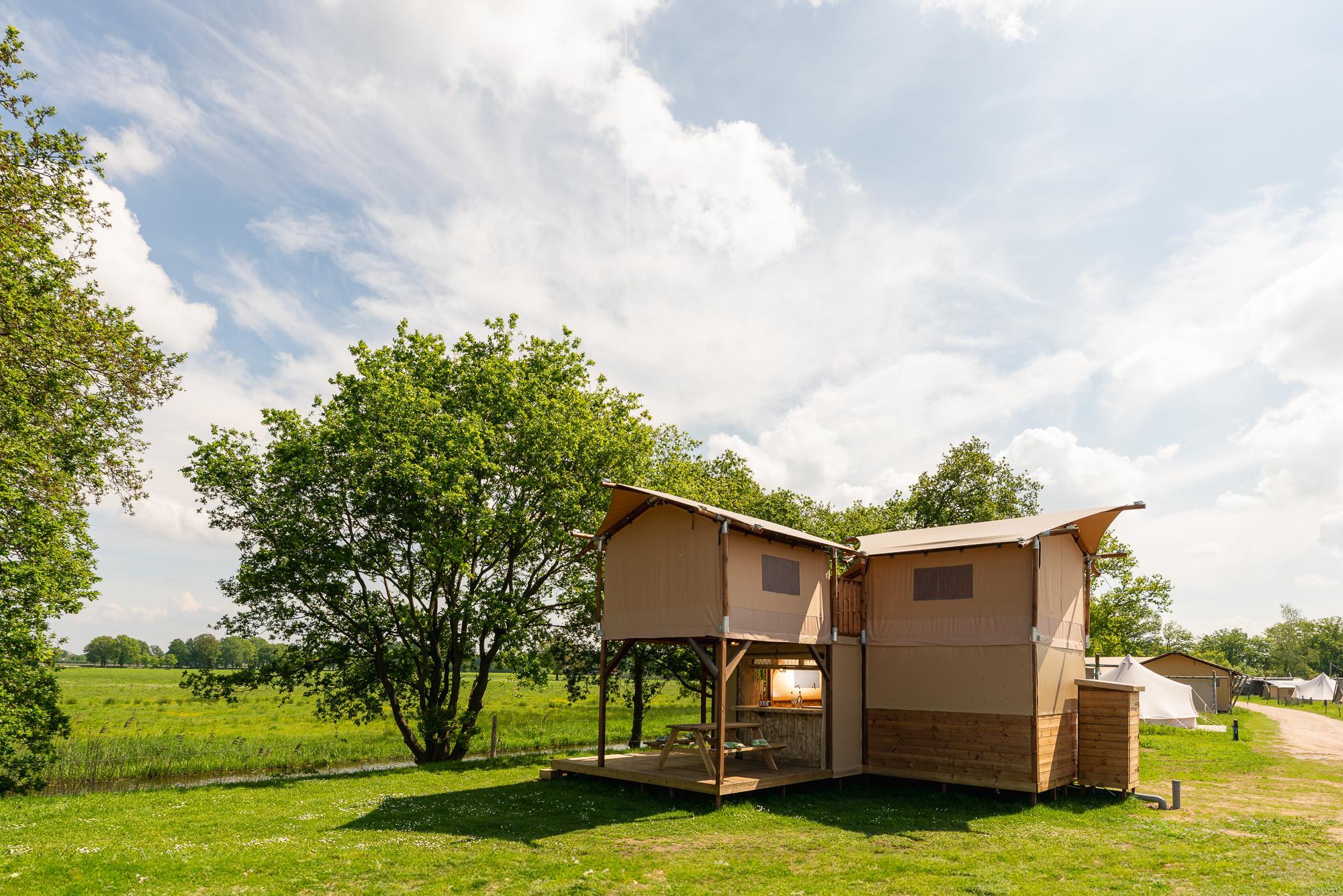 treehouse-tent-at-the-regge-with-private-sanitary-facilities-6-people