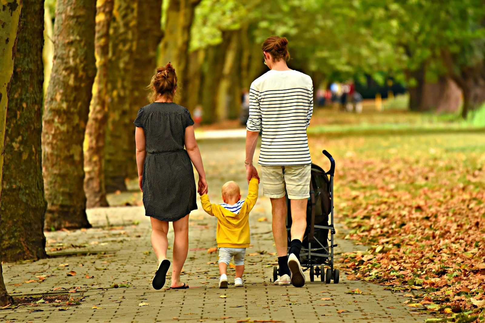 Camping Ackersate Ardoer - Gelderland - Terschuur visuel 466/1430 Camping Ackersate Ardoer - Gelderland - Terschuur visuel 466/1430