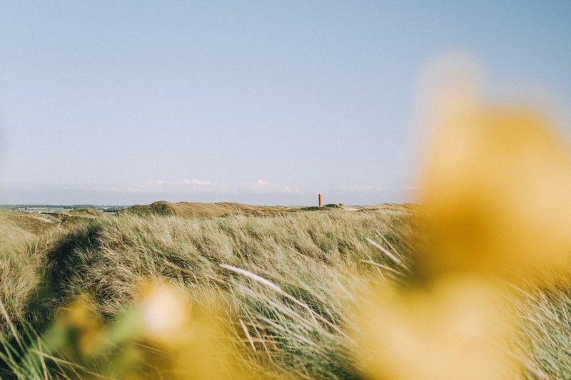 Vrijheid aan de Kust Vakantiehuisjes & Appartementen aan zee!