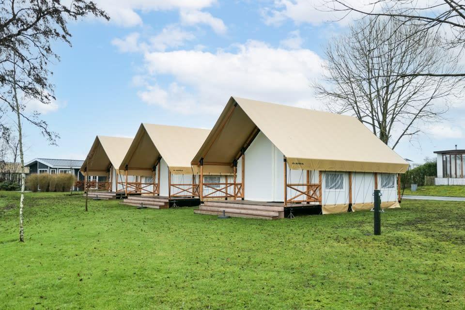 Unterkünfte Veluwemeer - Glamping-Zelt - Glampingtent 4 - 7