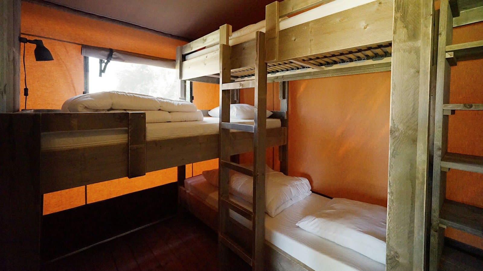 Accommodation Veluwemeer - Glamping tent - Glampingtent Desert 5 - 6