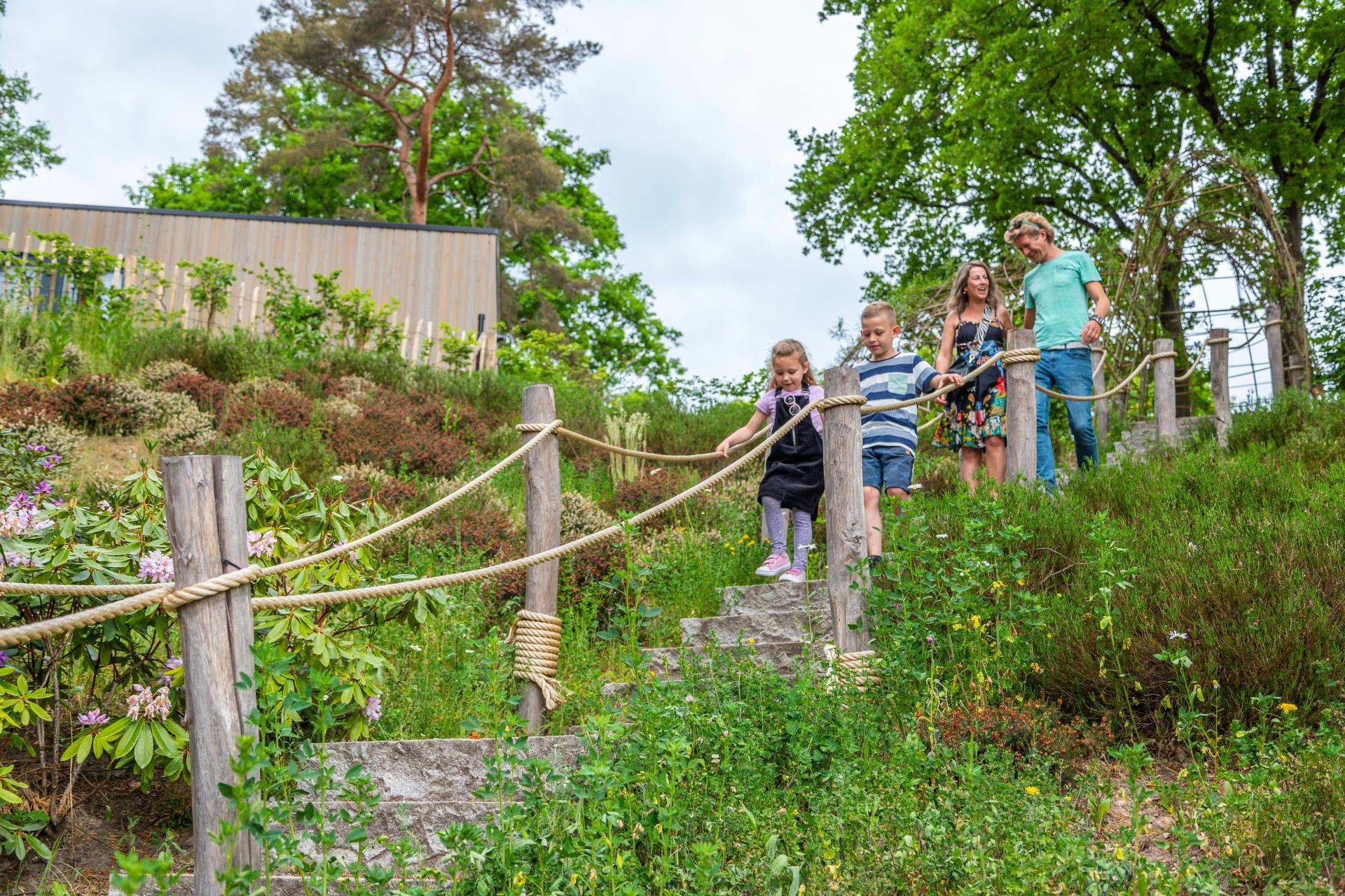 Accommodation Maasduinen - Chalet - Exclusif 4 - 11