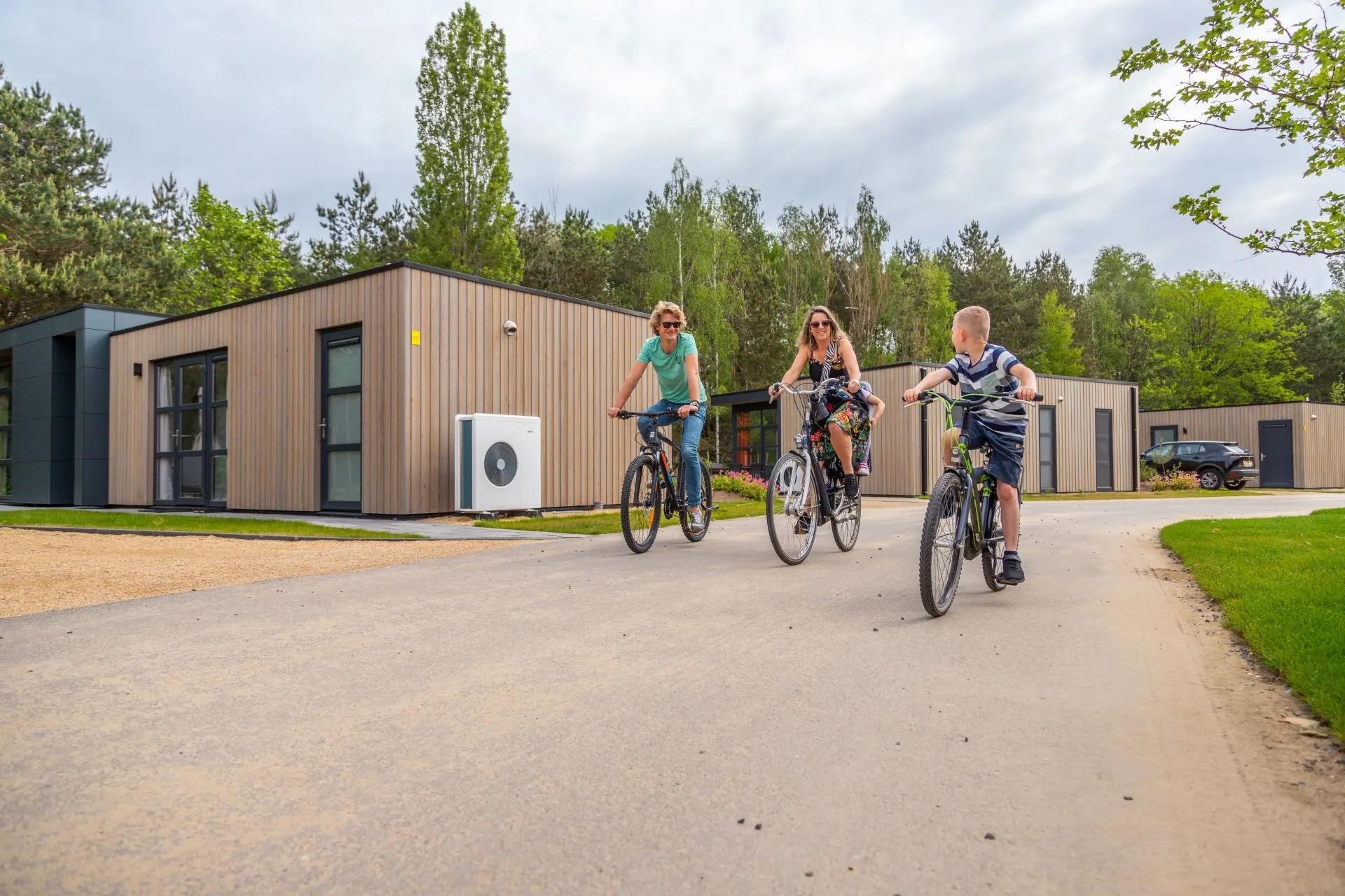 Unterkünfte Maasduinen - Chalet - L-Cube Sauna 4 - 12
