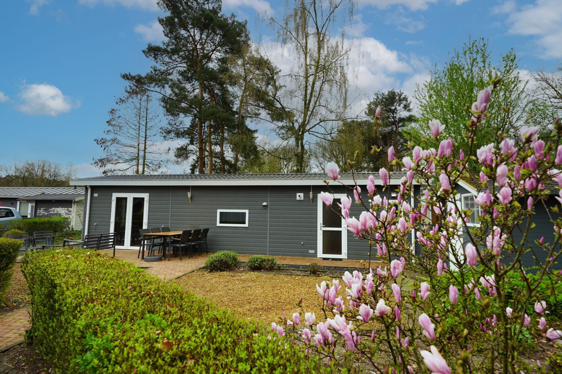 Accommodatie Maasduinen - Chalet - Unique 6 - 10