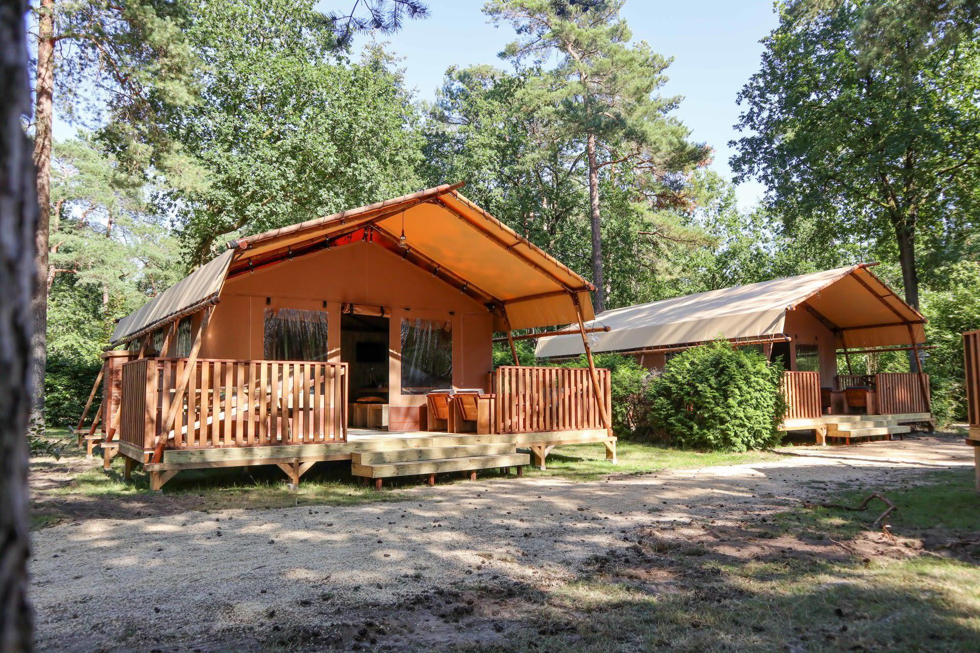 Unterkünfte De Zanding - Glamping-Zelt - Lodgetent 2 - 3