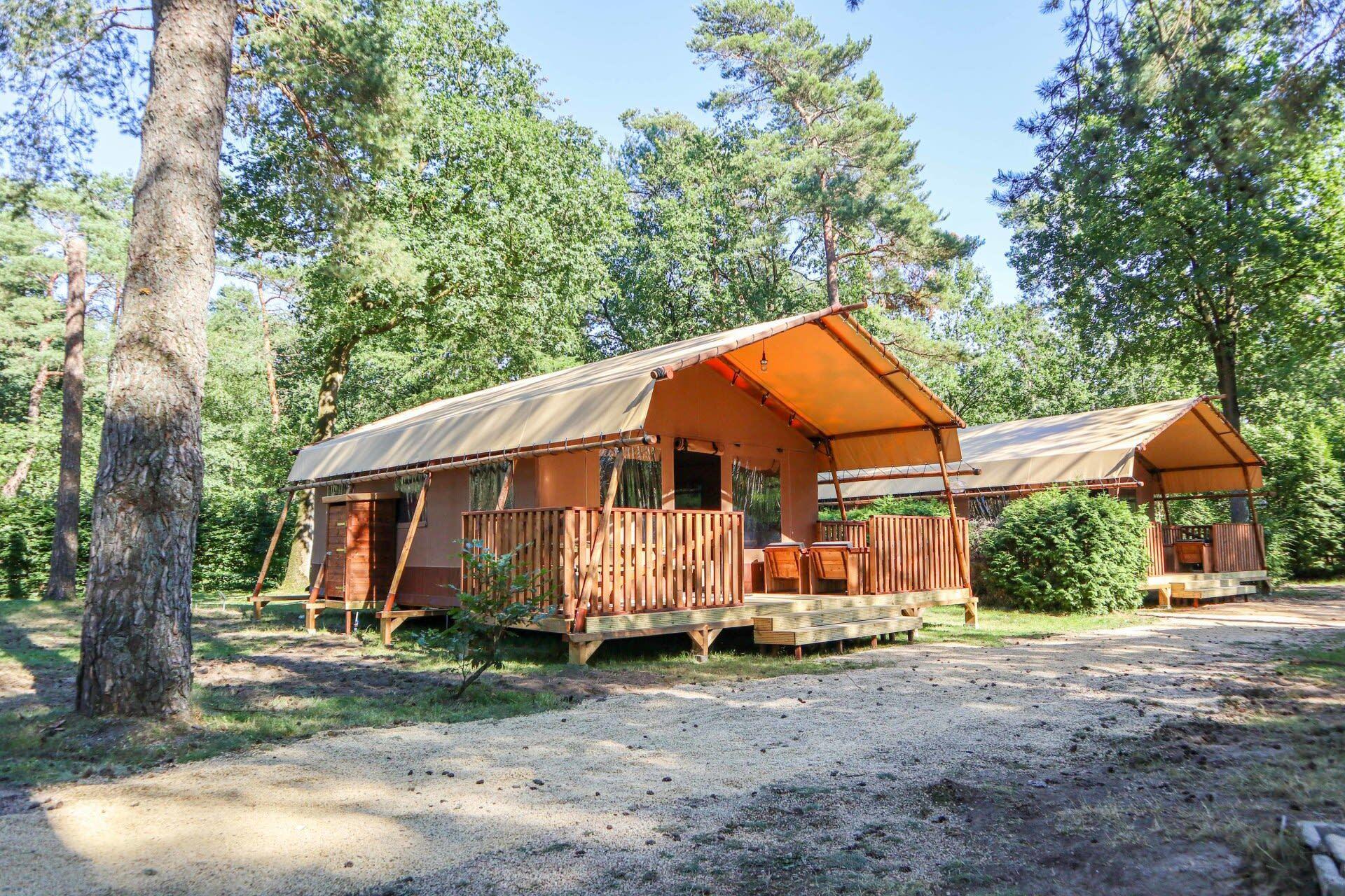 Unterkünfte De Zanding - Glamping-Zelt - Lodgetent 4 - 15