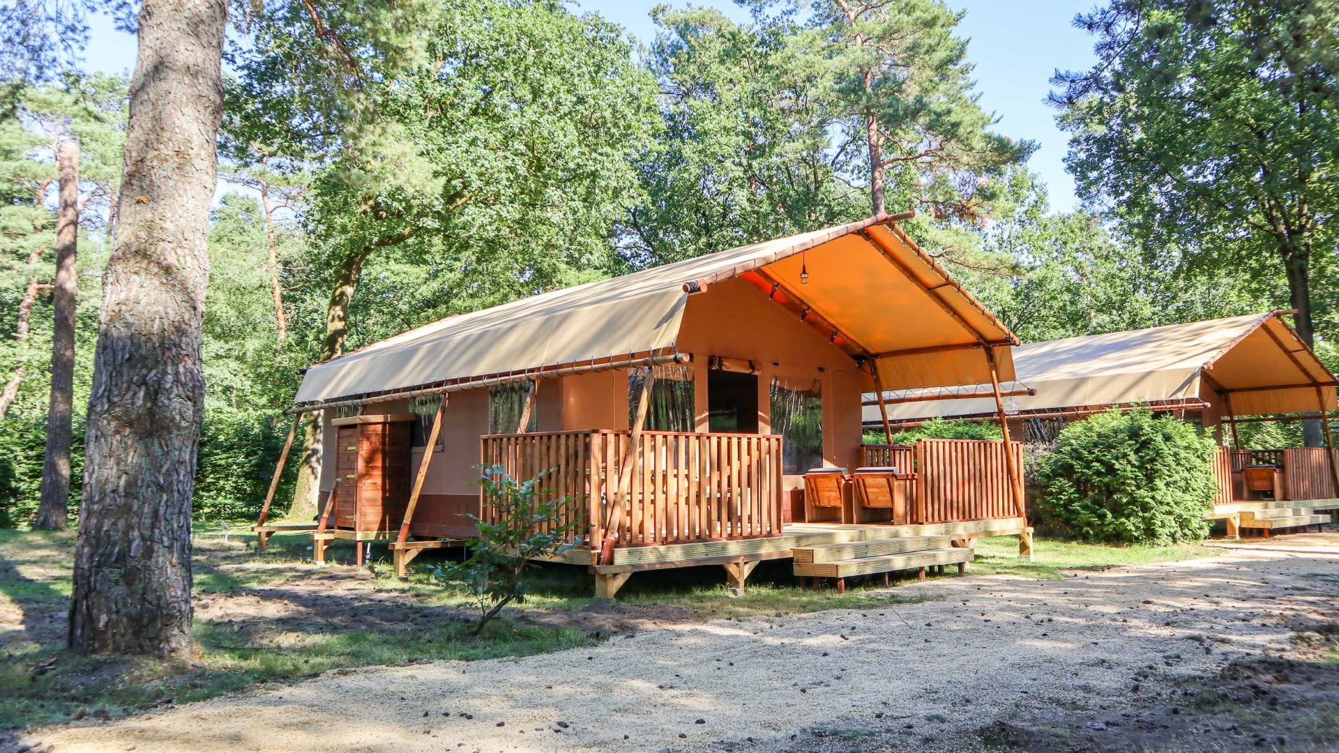 Unterkünfte De Zanding - Glamping-Zelt - Lodgetent 5 - 16