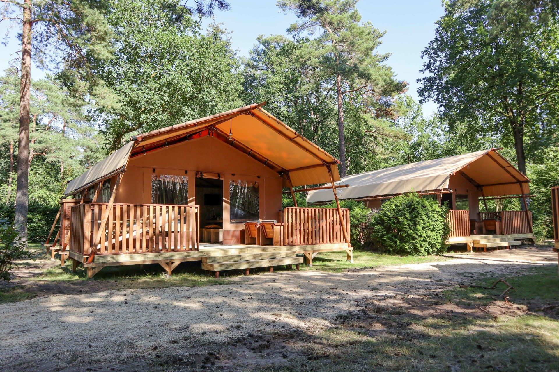 Unterkünfte De Zanding - Glamping-Zelt - Lodgetent 5 - 1