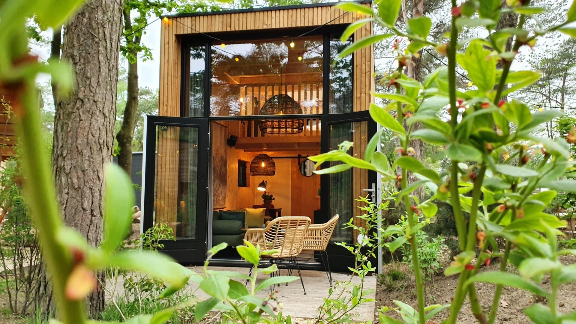 Accommodatie De Zanding - Tiny house - Tiny House 2 - 1