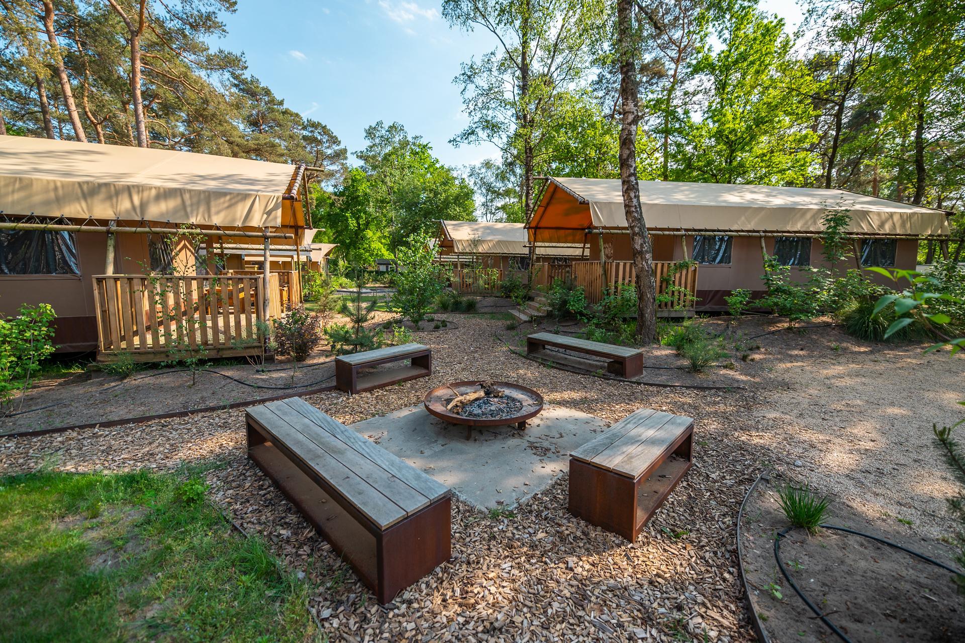 Unterkünfte De Zanding - Glamping-Zelt - Lodgetent 2 - 8