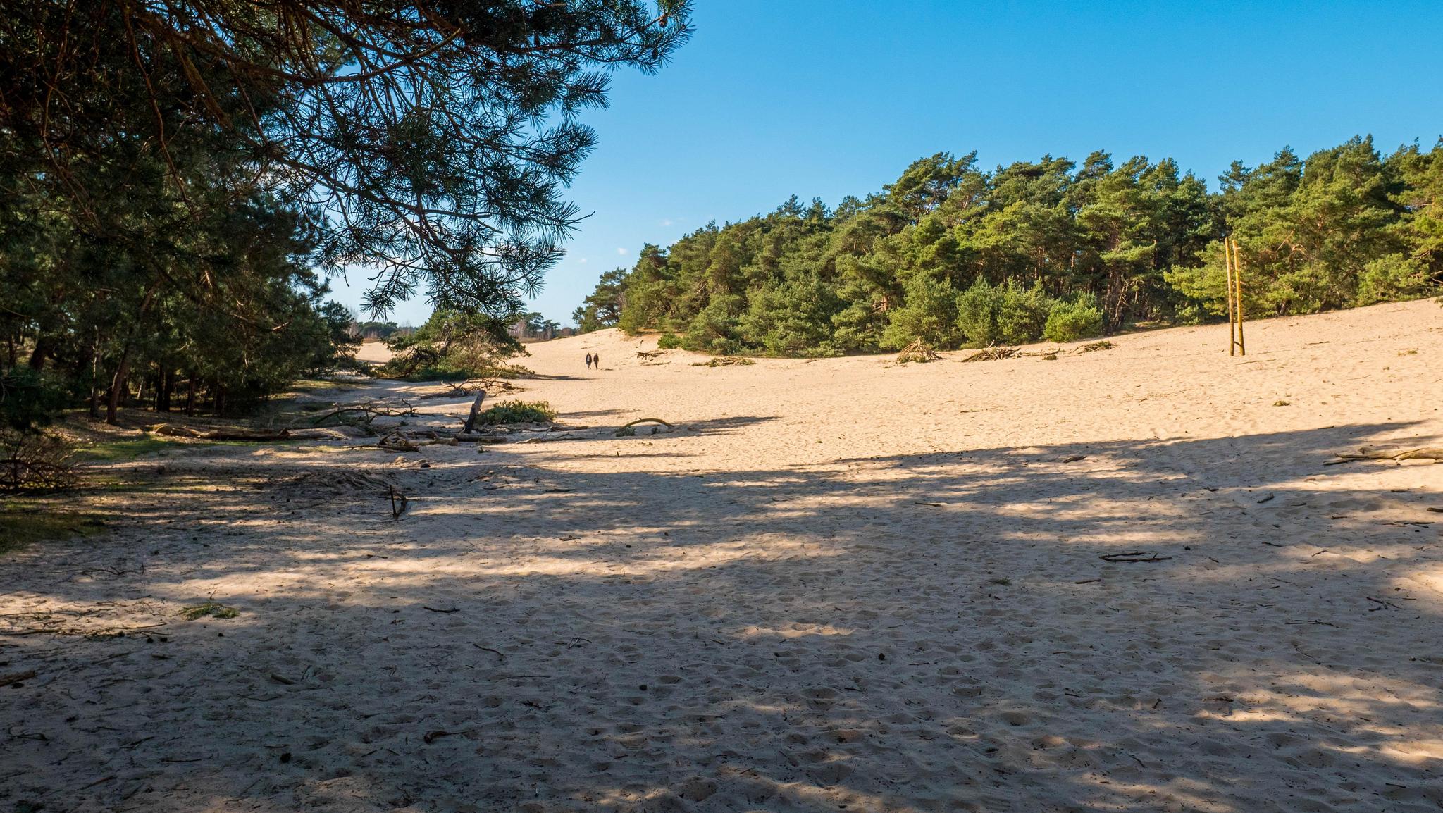 Accommodation De Zanding - Camping pitch - Camping pitch Comfort - 13