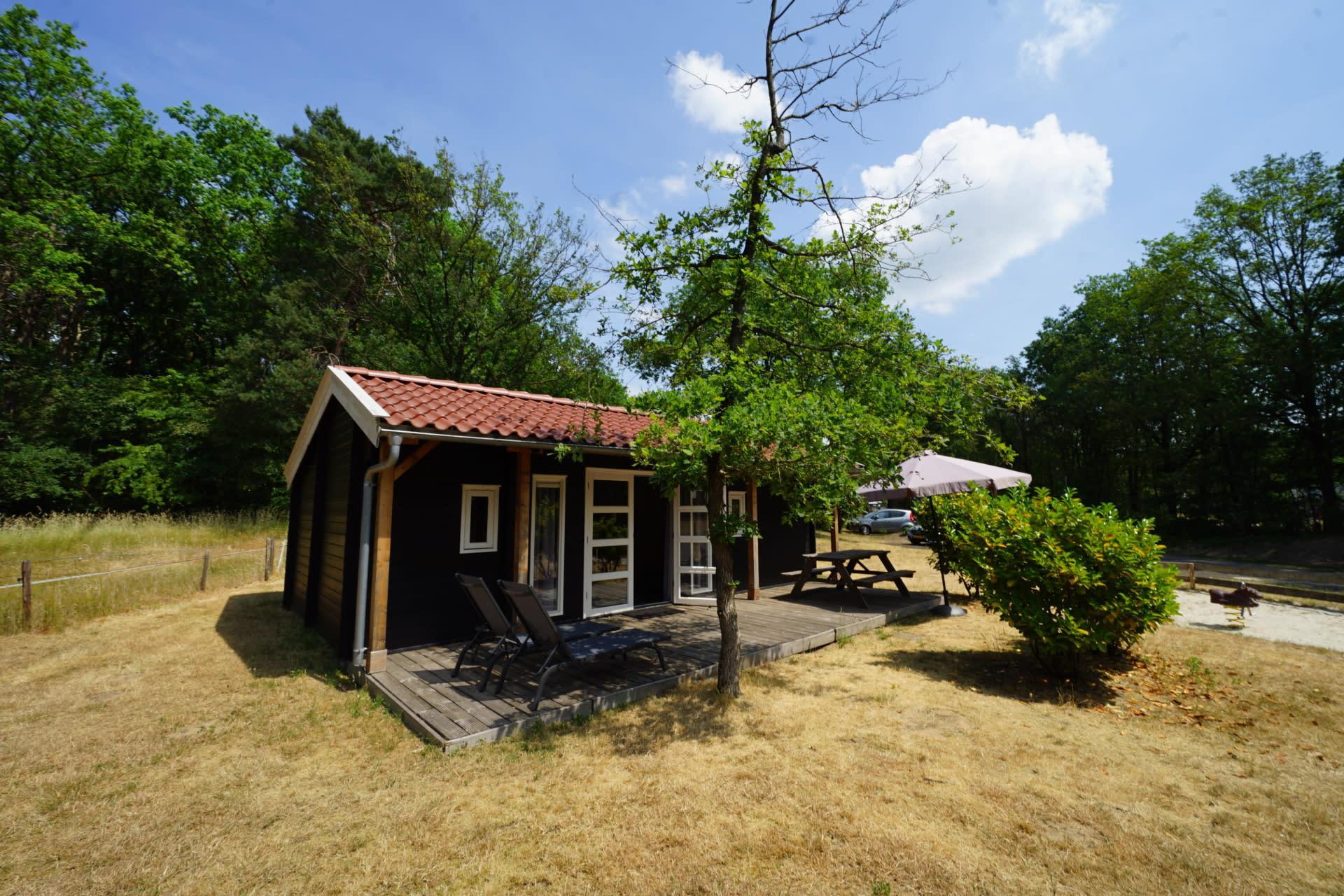 Accommodation Ruinen - Chalet - Drentse kap 4 - 12