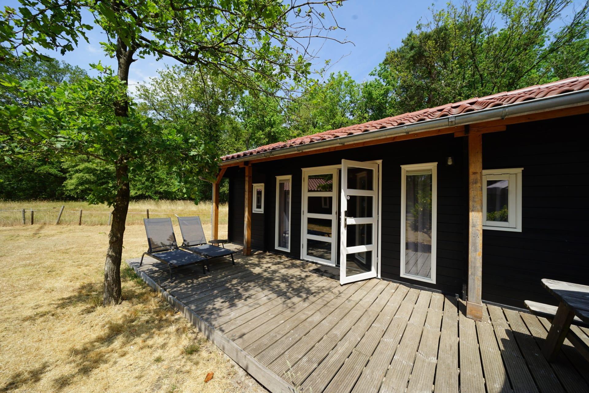 Accommodation Ruinen - Chalet - Drentse kap 4 - 13