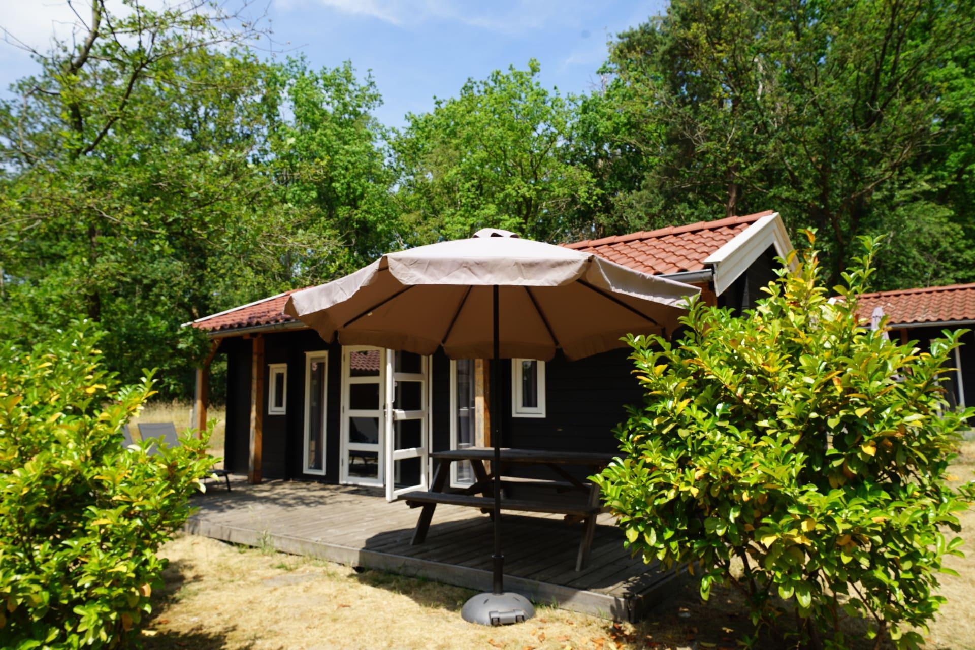 Accommodation Ruinen - Chalet - Drentse kap 4 - 14