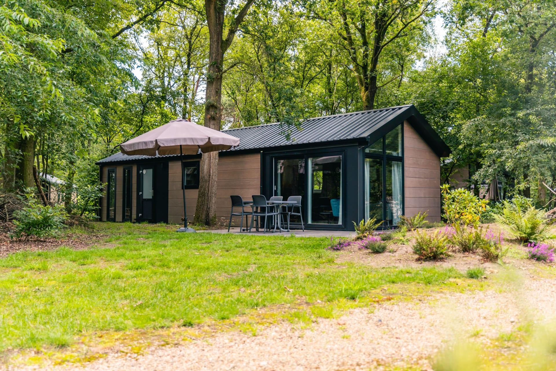 Unterkünfte Ruinen - Chalet - Velthorst 4 - 4
