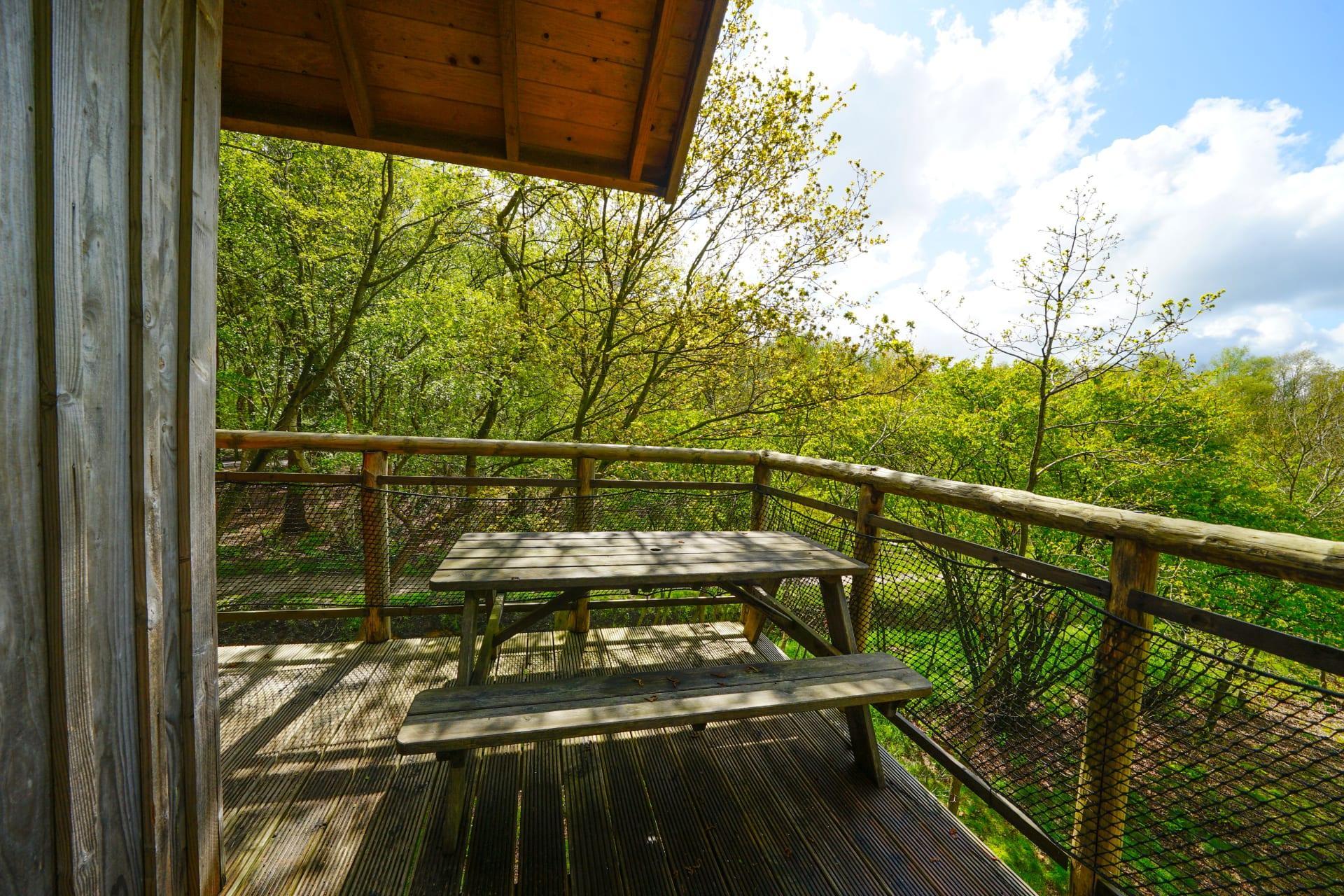 Unterkünfte Ruinen - Besondere Unterkunft - Baumhaus XXL Hottub 6 - 13