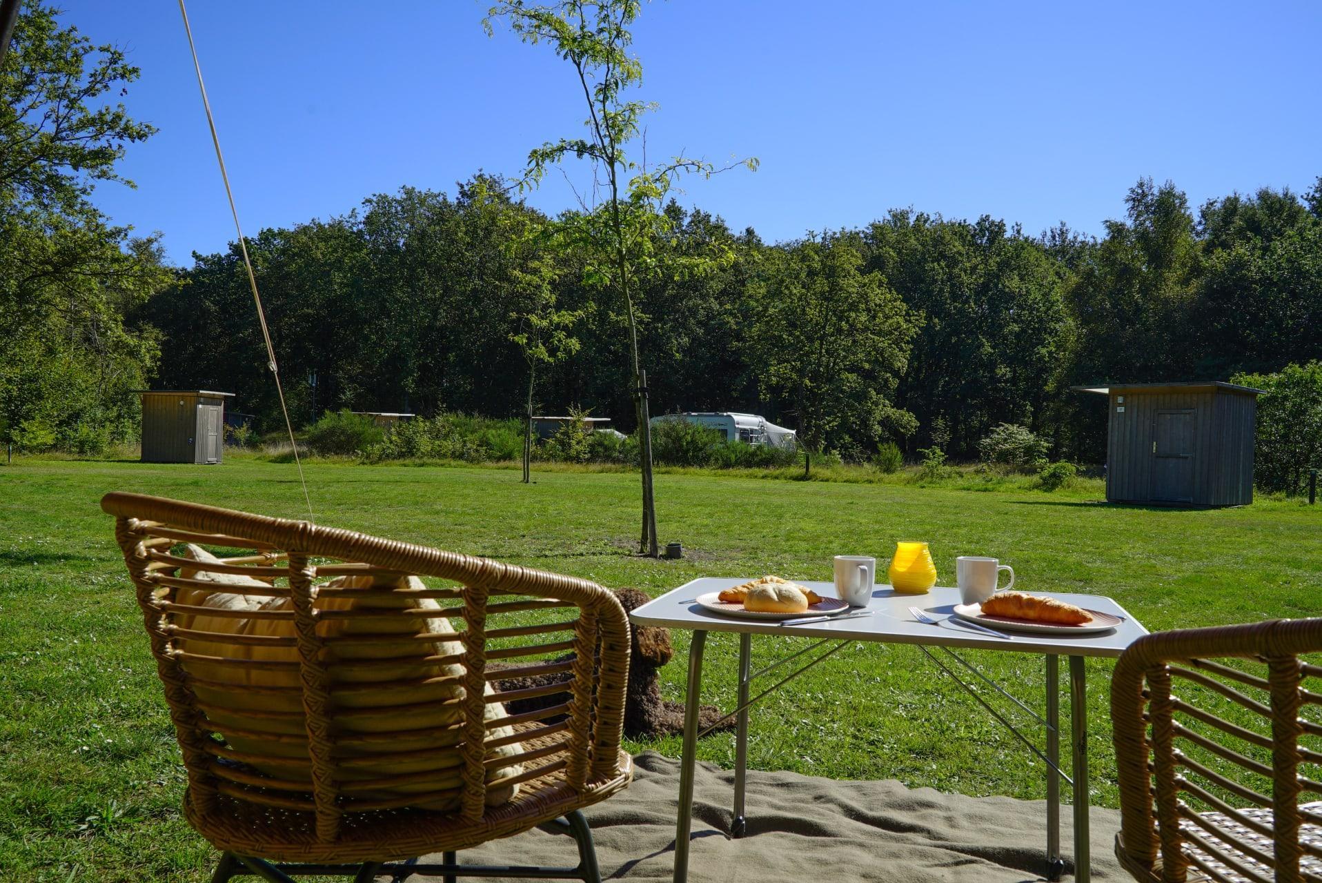 Unterkünfte Ruinen - Camping Stellplatz - Stellplatz Komfort Privatsanitär - 6